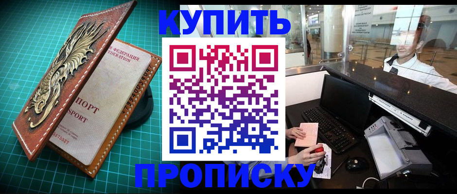 где прописаться в Курске
